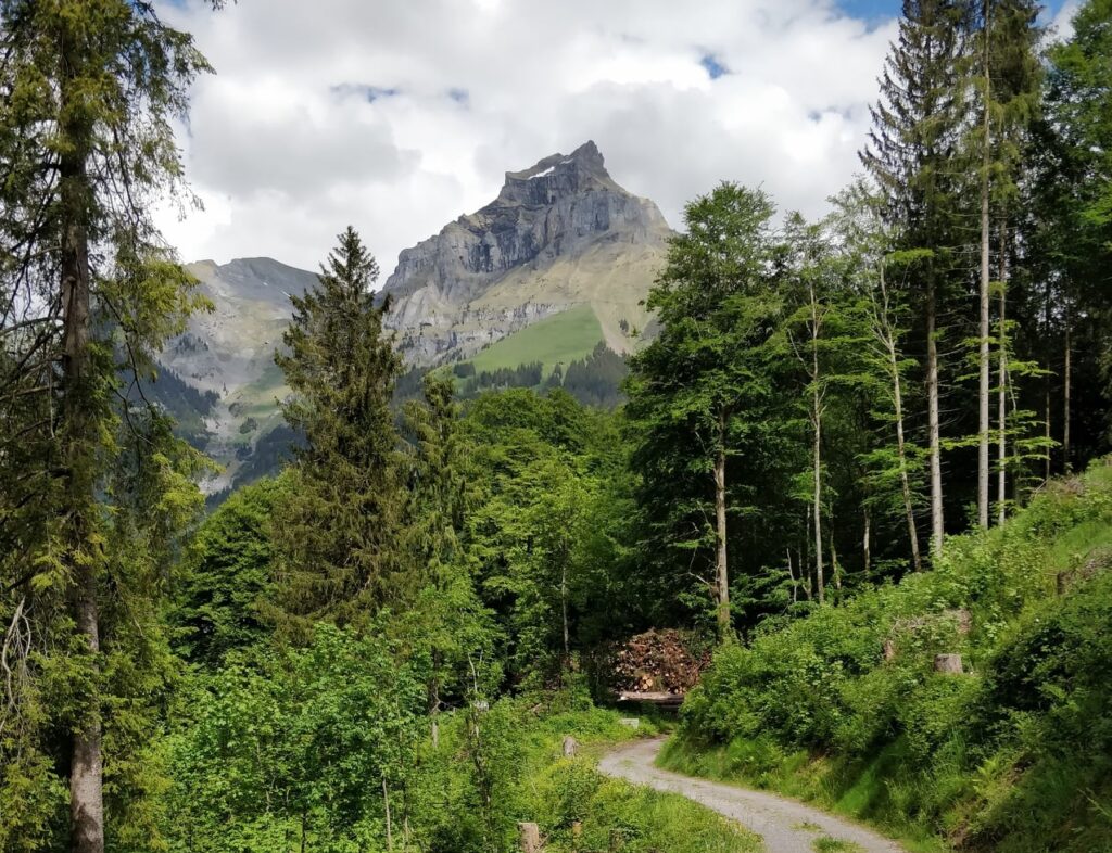 Switzerland Alps